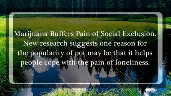 Shocking Science Facts To Help You Expand Your Mind (25 pics)