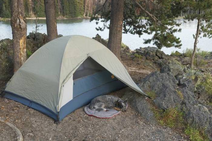 Camping Is The Best Way To Get In Touch With Nature (42 pics)