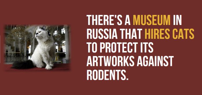 Incredible And Entertaining Facts About Russia (34 pics)
