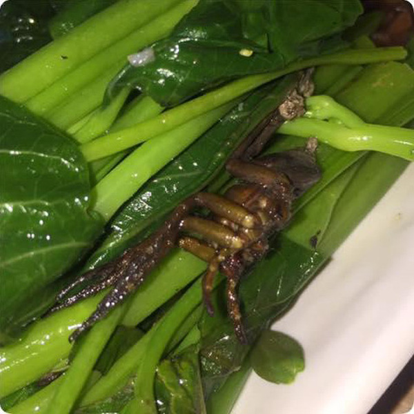 Customer Gets Something Extra With Their Water Spinach (4 pics)