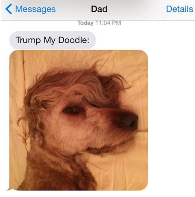 It Turns Out That Dad Texts Are Even Better Than Dad Jokes (21 pics)