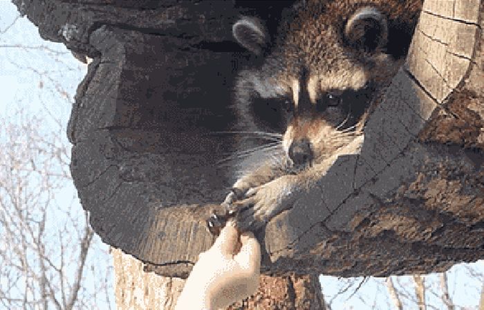 These Gifs Are A Lot Funnier When You Play Them In Reverse (16 gifs)