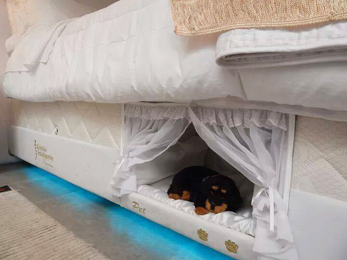 Inside This Bed There's A Tiny Place Where Your Pet Can Sleep (6 pics)