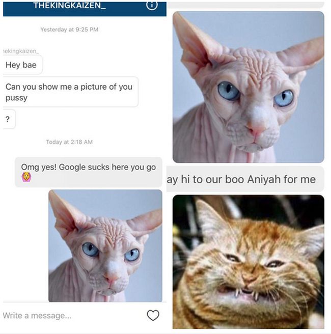 Porn Star Has Hilarious Responses For Unwanted Dick Pics On Instagram (11 pics)