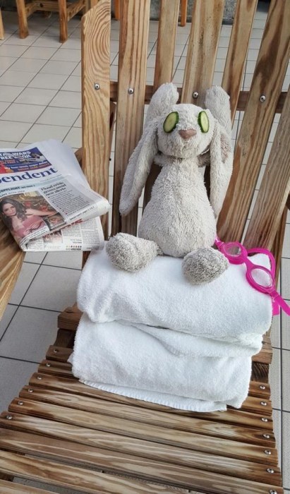 Little Girl's Stuffed Bunny Goes On An Adventure After Being Left Behind (11 pics)