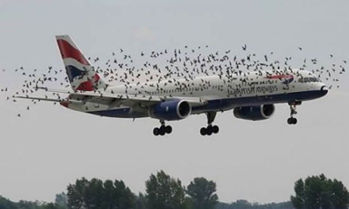 Aircraft Accidents Can Come Out Of Nowhere (65 pics)