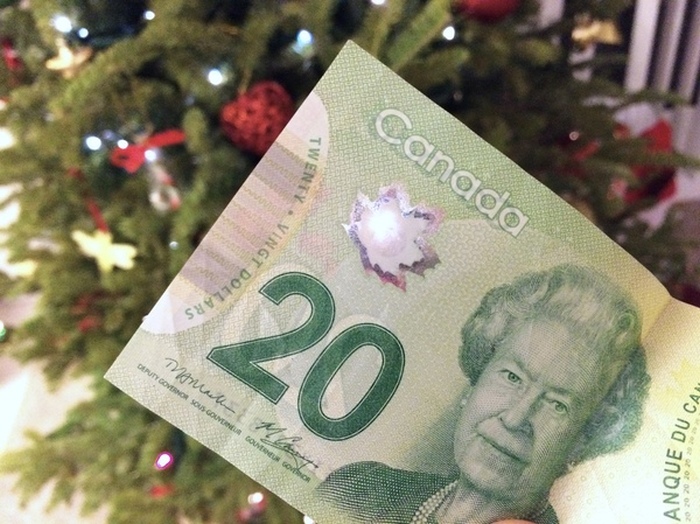 What Christmas Lights Look Like Through A Canadian Dollar (7 pics)