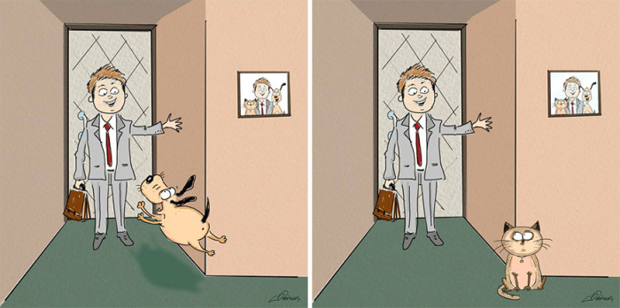 Here Are The 6 Biggest Differences Between Cats And Dogs (6 pics)