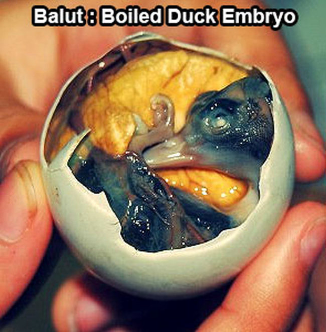 You Would Have To Be Brave To Eat These Weird Foods From Asia (10 pics)