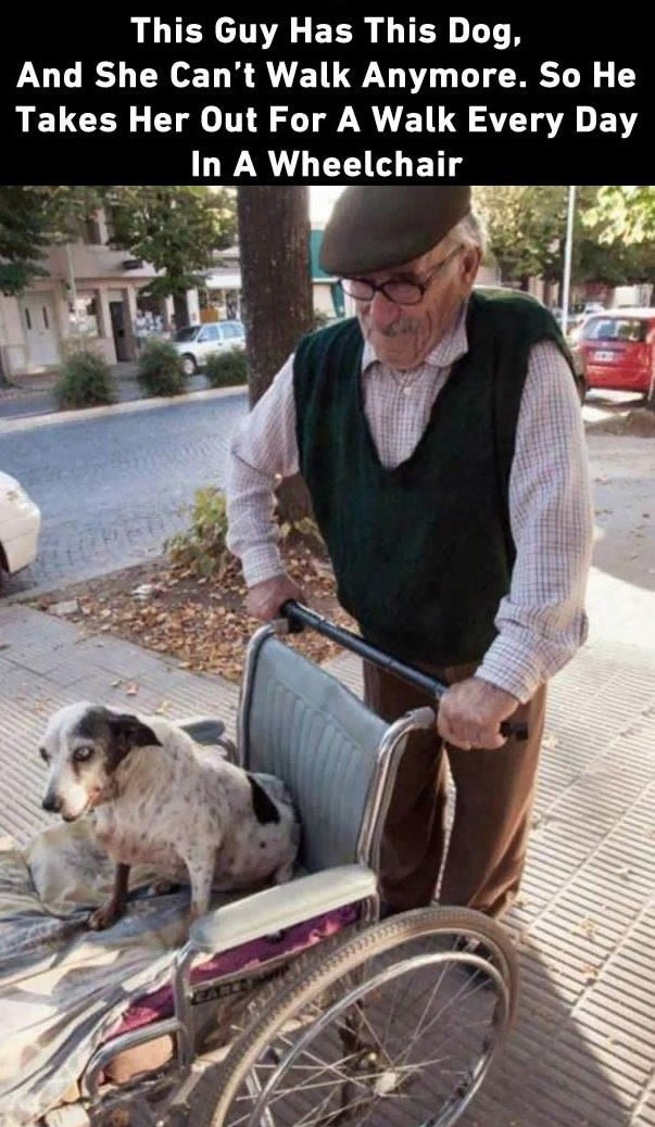 2015 Was A Year Full Of Heartwarming Moments (12 pics)