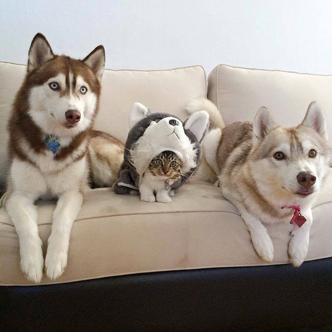 Here's A Friendly Little Reminder That Life Is Beautiful (44 pics)