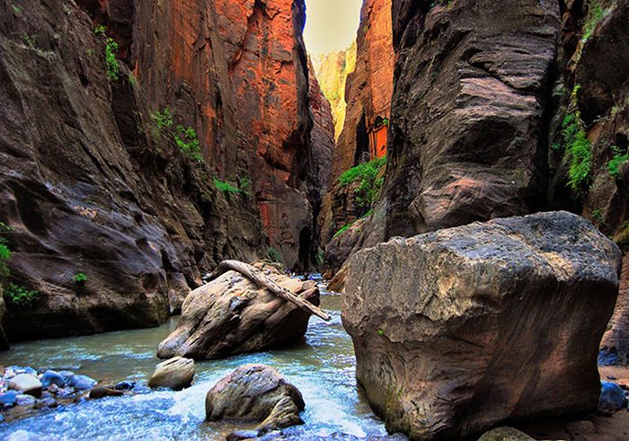 Here's A Friendly Little Reminder That Life Is Beautiful (44 pics)