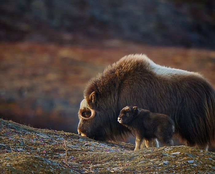 Here's A Friendly Little Reminder That Life Is Beautiful (44 pics)