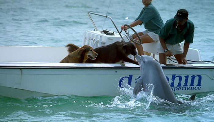 Here's A Friendly Little Reminder That Life Is Beautiful (44 pics)