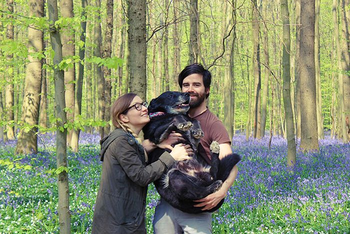 Here's A Friendly Little Reminder That Life Is Beautiful (44 pics)