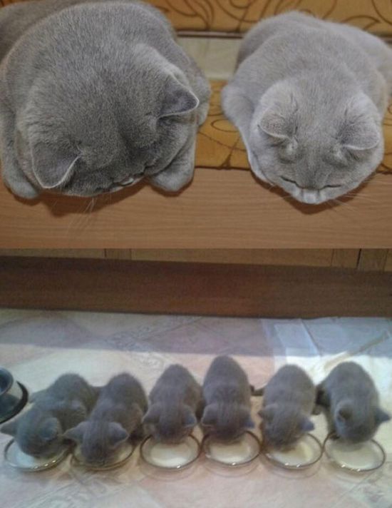 Here's A Friendly Little Reminder That Life Is Beautiful (44 pics)