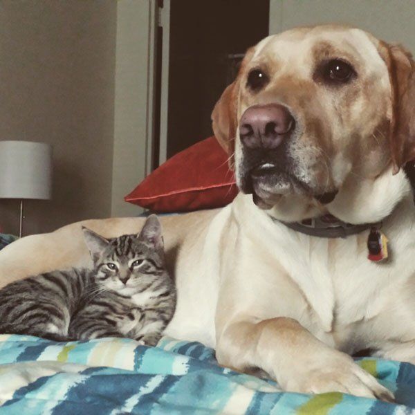 Here's A Friendly Little Reminder That Life Is Beautiful (44 pics)