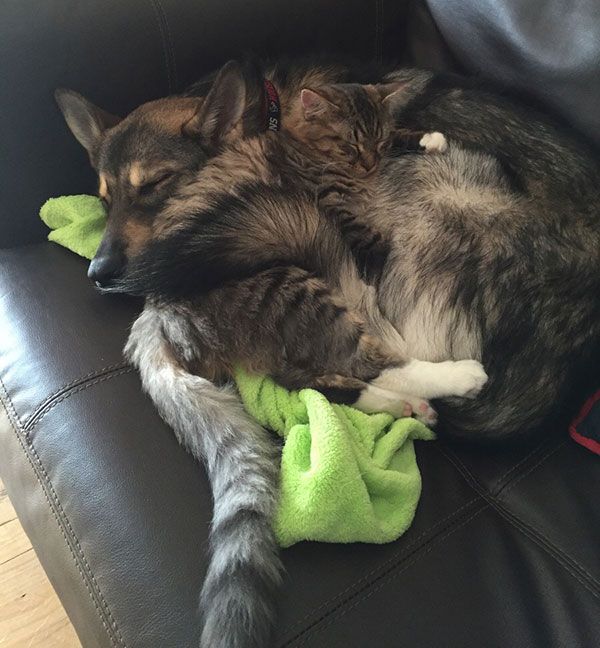 Here's A Friendly Little Reminder That Life Is Beautiful (44 pics)