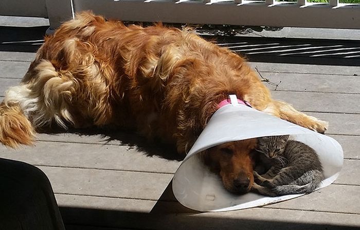 Here's A Friendly Little Reminder That Life Is Beautiful (44 pics)
