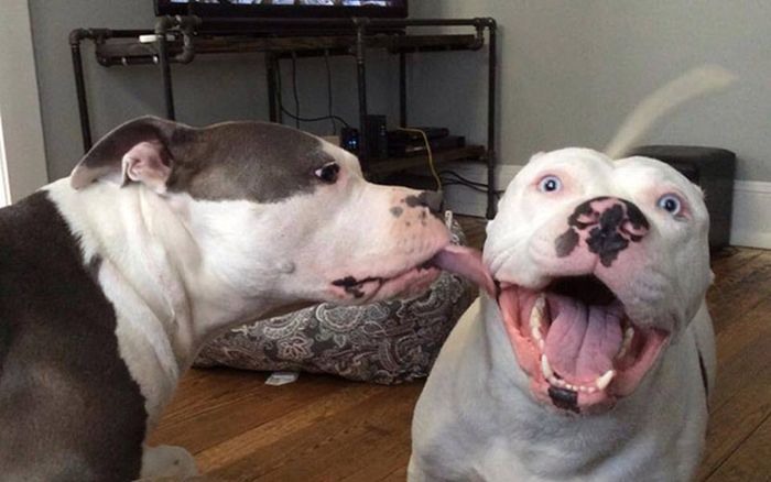 Here's A Friendly Little Reminder That Life Is Beautiful (44 pics)