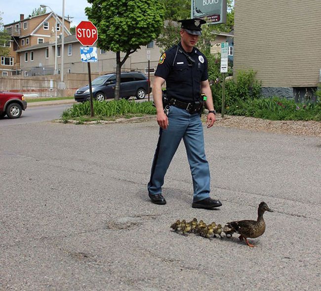 Here's A Friendly Little Reminder That Life Is Beautiful (44 pics)
