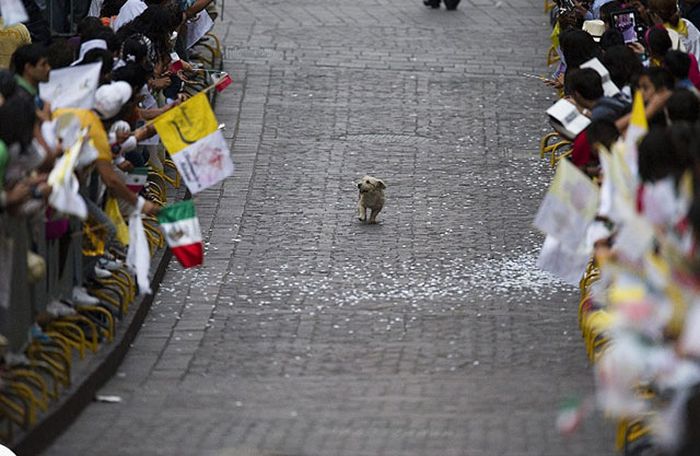 Here's A Friendly Little Reminder That Life Is Beautiful (44 pics)