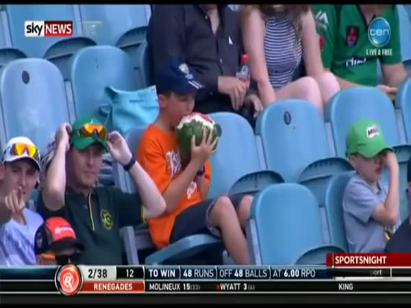 Boy Eats Whole Watermelon At A Cricket Game