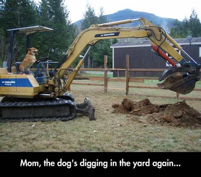 Acid Picdump (94 pics)