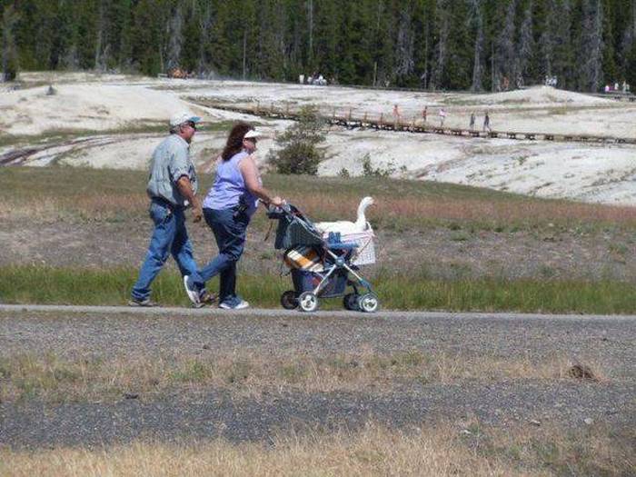Acid Picdump (94 pics)