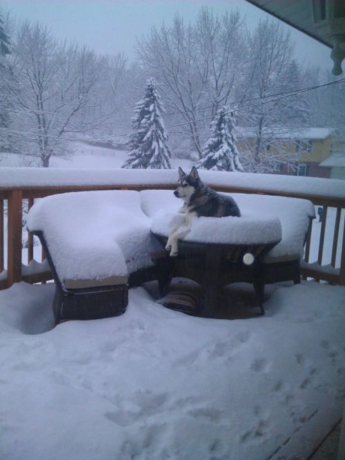 Acid Picdump (94 pics)