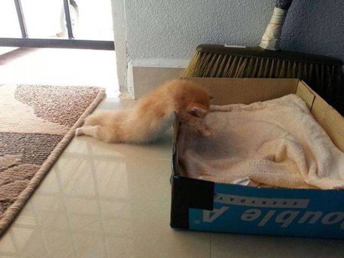 Acid Picdump (94 pics)