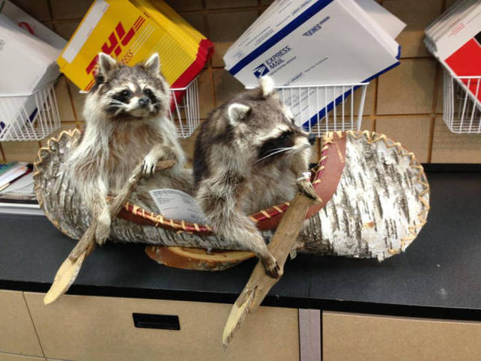 Acid Picdump (94 pics)