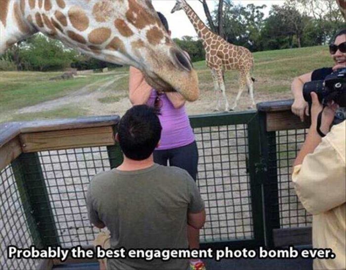 Acid Picdump (94 pics)