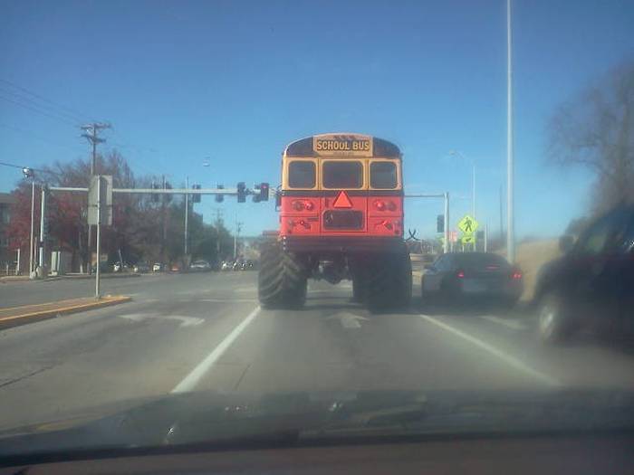 The Only Way To React To These Pictures Is To Say WTF?! (44 pics)