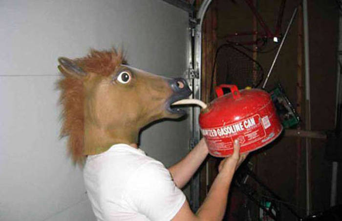 The Only Way To React To These Pictures Is To Say WTF?! (44 pics)
