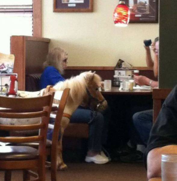 The Only Way To React To These Pictures Is To Say WTF?! (44 pics)