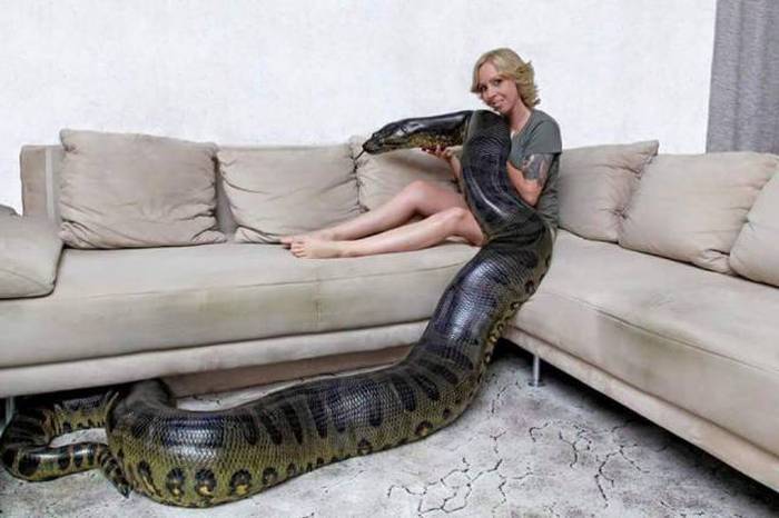 The Only Way To React To These Pictures Is To Say WTF?! (44 pics)