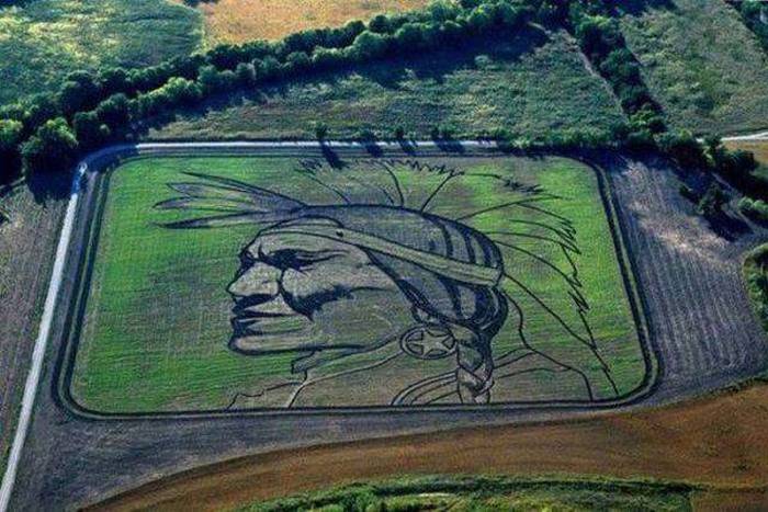 Acid Picdump (102 pics)