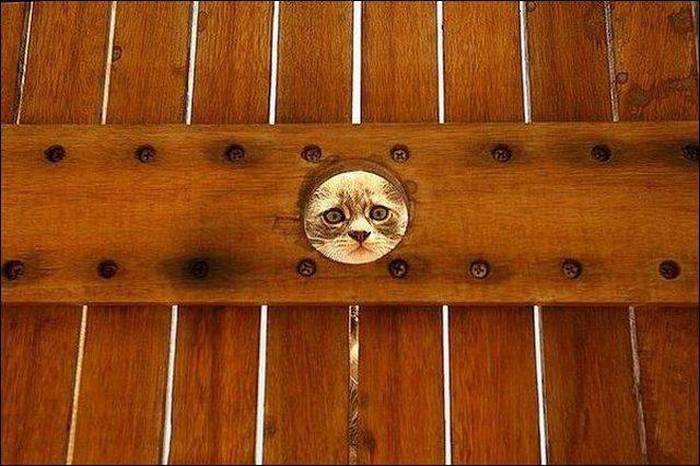 Acid Picdump (102 pics)