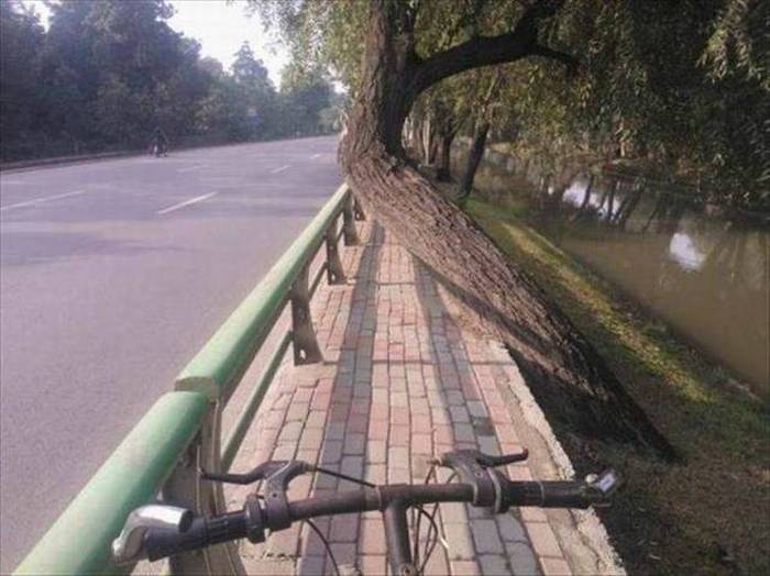 Acid Picdump (102 pics)