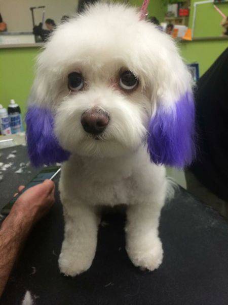 Acid Picdump (102 pics)