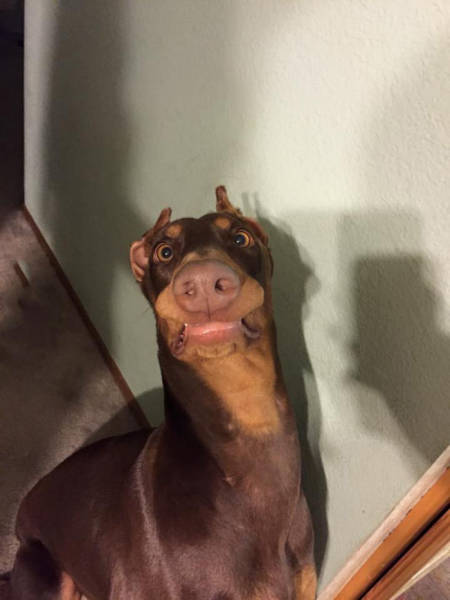 Acid Picdump (102 pics)