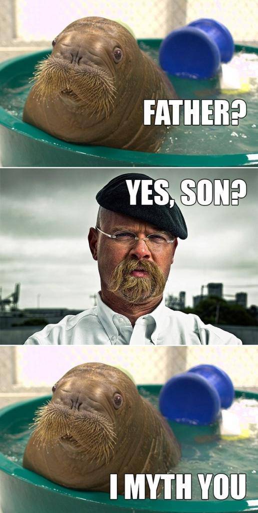 Acid Picdump (102 pics)