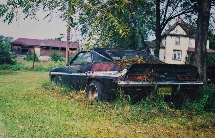 Acid Picdump (102 pics)
