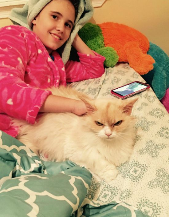 This Feline Could Give Grumpy Cat A Run For Its Money (3 pics)