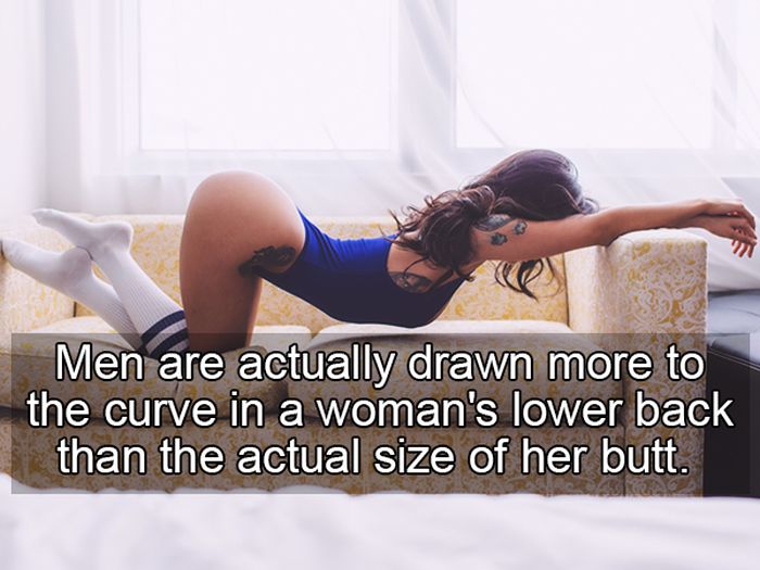 Scintillating Sex Facts Brought To By Science (10 pics)