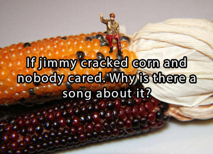 Important Questions That Will Put Your Brain To Work (25 pics)
