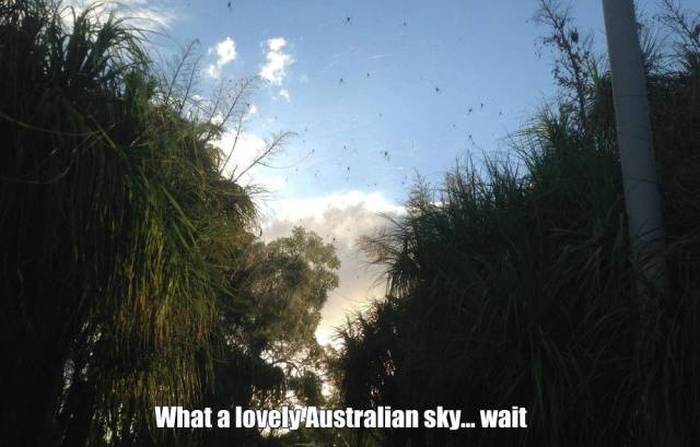 Acid Picdump (94 pics)