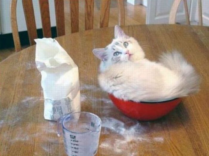 Acid Picdump (94 pics)
