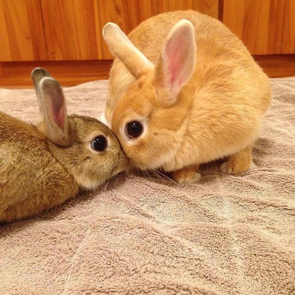 Acid Picdump (94 pics)